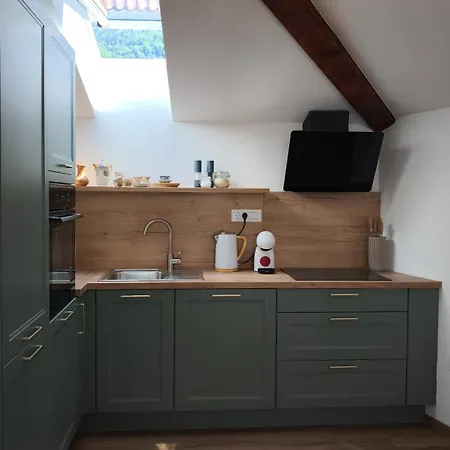 New Boutique House Gabrijela Mrak In Old Apartment
