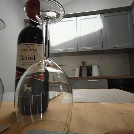 New Boutique House Gabrijela Mrak In Old