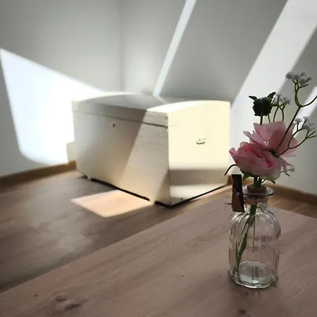 Apartment New Boutique House Gabrijela Mrak In Old
