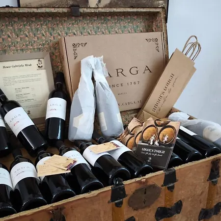 New Boutique House Gabrijela Mrak In Old Appartamento Tolmin