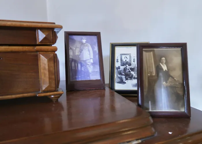 New Boutique House Gabrijela Mrak In Old Appartement Tolmin